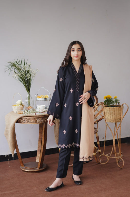 AISLING - 3 Pc Dhanak Embroidred Suit - JM1371